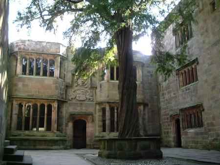 Conduit Court and the ancient Yew tree
